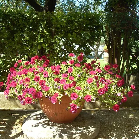 Tenuta Fagnani *