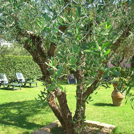Tenuta Fagnani * Lucca