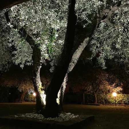 Tenuta Fagnani